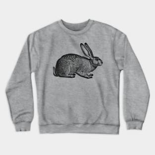 Rabbit - Hare - Bunny - nature - drawing, animal Crewneck Sweatshirt